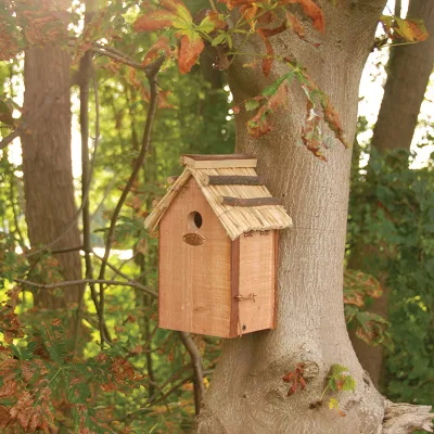 Outils et équipement de jardinage Maison d'oiseau de jardin Bois Nichoirs en bois non finis Maison de nid d'oiseau